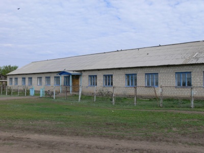 Зерновая школа
