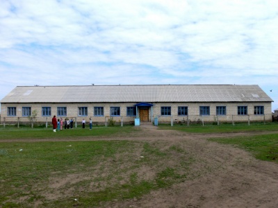 Зерновая школа